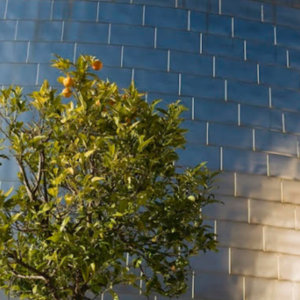 Guggenheim Bilbao, el primer museo por la sostenibilidad medioambiental