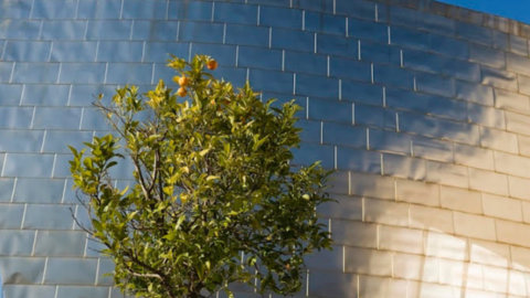 Guggenheim Bilbao, primo museo per la sostenibilità ambientale