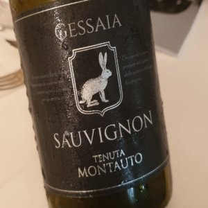 Anggur: kelinci berlari dengan gembira di antara deretan Sauvignon blanc Montauto di Maremma