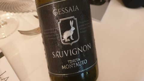 Şarap: tavşan, Maremma'daki Sauvignon blanc Montauto'nun sıraları arasında mutlu bir şekilde koşuyor