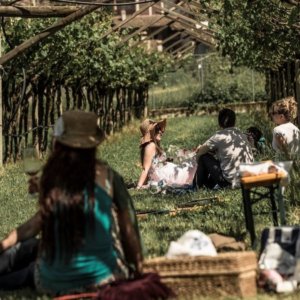 Gemme di gusto: fine settimana di vini, sapori, storia  e natura alla scoperta del Trentino