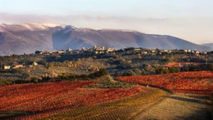 Le campagne di Montefalco