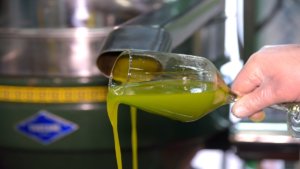 Olio EVO