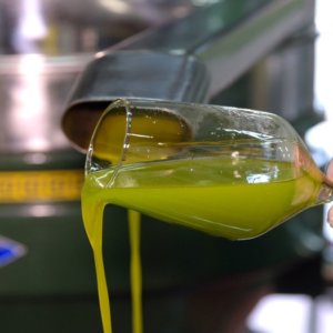 Flos Olei 2023 : la meilleure huile d'olive extra vierge de l'année est de Giovanni Batta, l'entreprise de l'année est en Croatie