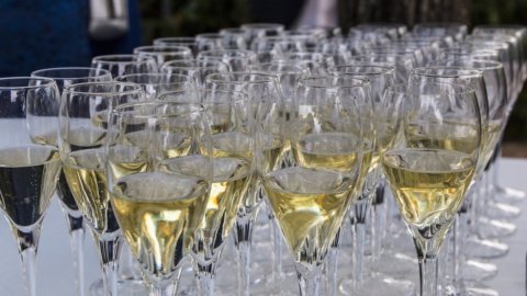 Vino italiano, per il 2022 attesa crescita del 4,8%: a trainare l’export le bollicine. Report Mediobanca