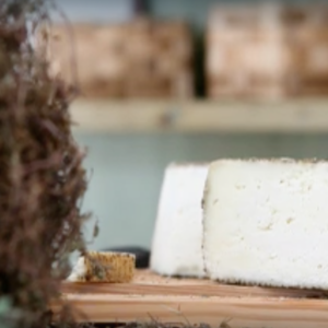 Conciato di San Vittore PAT: Lazio پنیر جس کی بہت قدیم اصلیت تھی جو غائب ہونے کے خطرے میں تھی۔