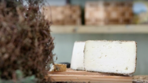 Conciato di San Vittore PAT: il formaggio laziale dalle origini antichissime che rischiava di scomparire