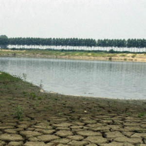 Clima: la siccità incombe nel bacino Mediterraneo ma gli agricoltori sono contro la sostenibilità e l’Italia non ha una strategia