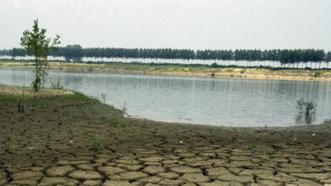 La siccità non dà tregua. Allarme da Nord a Sud e agricoltura in ginocchio: ferragosto senza acqua