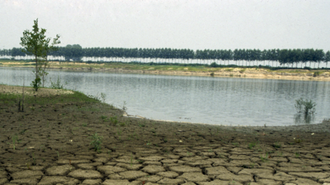 Clima: la siccità incombe nel bacino Mediterraneo ma gli agricoltori sono contro la sostenibilità e l’Italia non ha una strategia