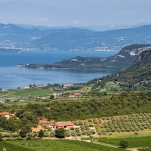 Chiaretto di Bardolino: 23 Haziran'dan itibaren "pembe 100 nota" geri dönüyor, şarap ve müzik arasındaki etkinlik