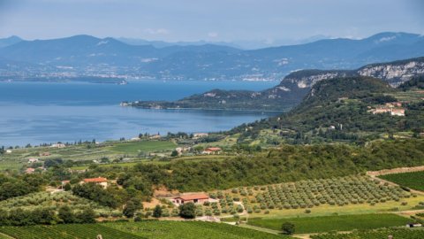 Chiaretto di Bardolino: с 23 июня возвращается «100 нот в розовом», событие между вином и музыкой.