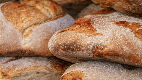 Dove trovare il miglior Pane d’Italia: la Guida del Gambero Rosso