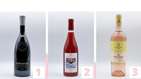 Vinos rosados ​​italianos: los 50 mejores de Italia, a la cabeza los productores del Sur