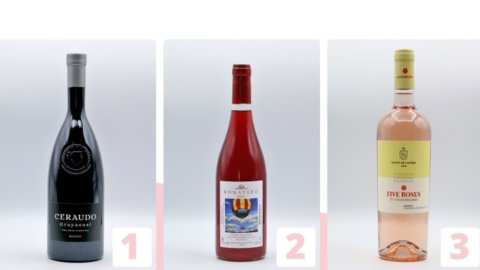 Italienische Roséweine: die 50 besten Italiens, an der Spitze die Erzeuger des Südens