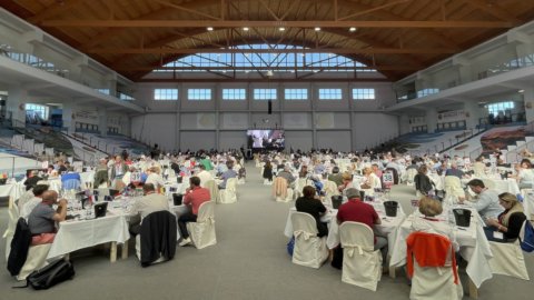 Concours Mondial de Bruxelles: fechando em beleza para os vinhos italianos com 15 Gran Oro