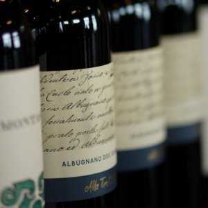 Vinho: Freisa “Portas Abertas” em 16 de julho para a Uva do Ano 2022 no Piemonte