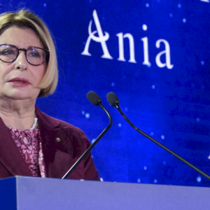 Ania: l’intero Settore Vita è in una “fase difficile”. Per Eurovita arriveranno altri rinforzi