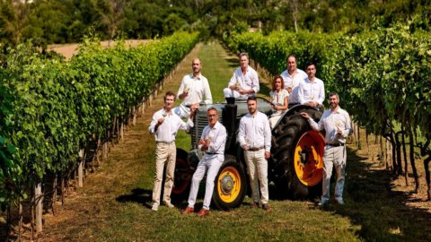 Bianchello del Metauro DOC: vignaioli d’autore per rilanciare uno dei vini più antichi delle Marche