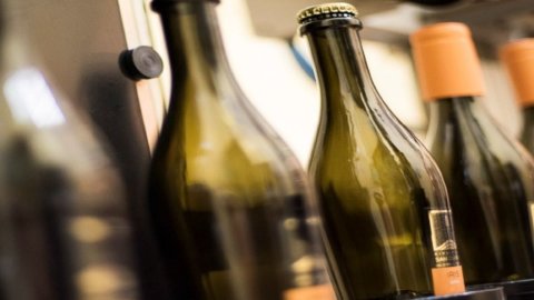 ओर्सिया वाइन फेस्टिवल: वाइन चखने के चार दिन, लजीज उत्पाद और यूनेस्को हेरिटेज एरिया की खोज