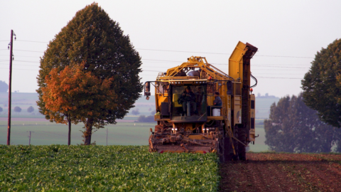 Made in Italy: Von Zucker bis Biomethan organisieren sich Rübenbauern gegen teure Energie