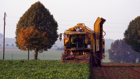 Made in Italy: from sugar to biomethane, beet growers organize themselves against expensive energy