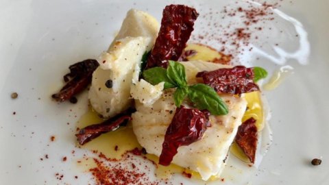 Rome Baccalà: patru zile de imersiune gastronomică și culturală completă în Testaccio