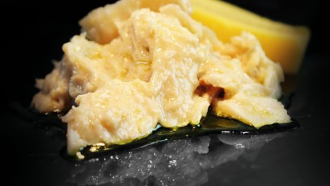Festa del Bacalà 2022: يلتقي ساندريجو مع لوفوتين ، موطن بطل الأسماك في تاريخ فن الطهي في فيتشنزا