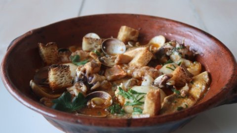 Brodetto: the starred recipe of chef Nicola Fossaceca and Fano dedicates a Festival to the symbolic dish of the Mediterranean