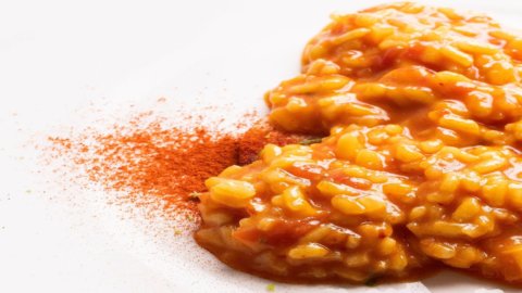 The starred risotto by chef Paolo Barrale: the recipe that marries the flavors and aromas of Provence and Campania