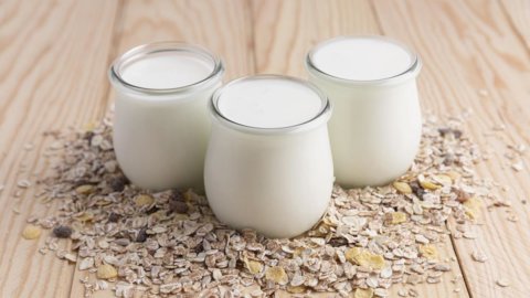 Ernährungsberatung: Wie wir unseren Darm schützen, indem wir zwischen fermentierter Milch, Probiotika und Präbiotika unterscheiden