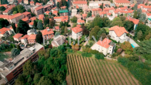 Vigne urbane, Vigna della Regina di Torino