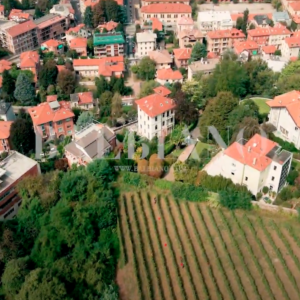 Os vinhedos urbanos, um novo modelo de desenvolvimento sustentável para os espaços da cidade, serão discutidos no Fórum Mundial de Turismo do Vinho em Alba