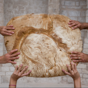 Pão Monte Sant'Angelo: formato gigante, cozimento lento e grãos nativos, prova da biodiversidade