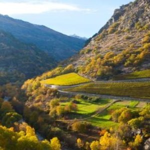 Campeonatos Mundiais de Vinhos Extremos: 29 vinhos de 30 países do mundo vão competir em Val d'Aosta nos dias 832 e 24 de setembro