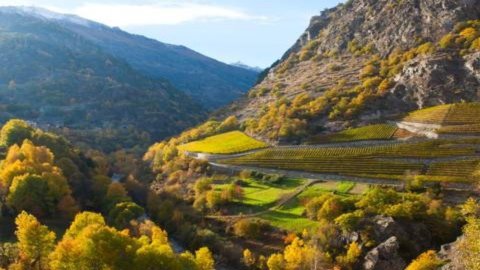 Campeonatos del Mundo de Vinos Extremos: 29 vinos de 30 países del mundo competirán en Val d'Aosta los días 832 y 24 de septiembre