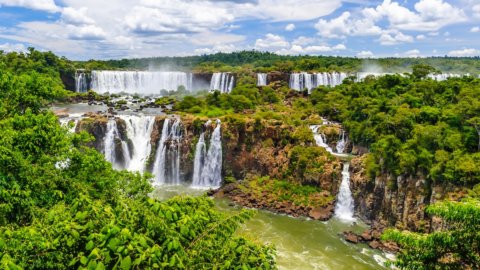 ブラジルでは、証券取引所のマネージャーでさえルラに投票しています: 彼らはアマゾンのグリーンターンと消費の回復が好きです