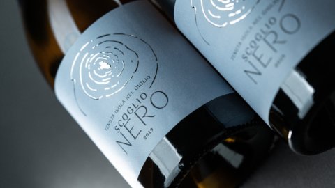 Ansonica Scoglio Nero: um vinho precioso, um tesouro dos sabores mediterrâneos da Isola del Giglio