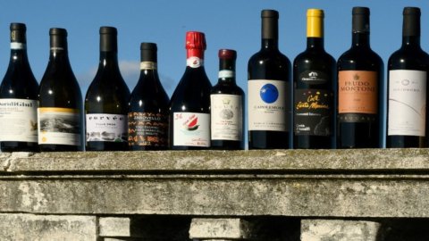 Guía Veronelli 2023: los cinco "mejores sabores" de los vinos italianos, el Sur queda fuera