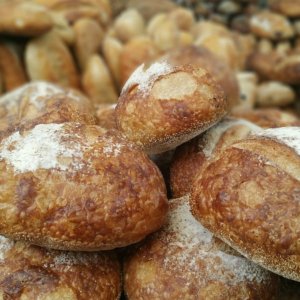 Maltempo Emilia-Romagna: Raccolto di grano tenero pari a 200 milioni di chili di pane distrutto dall’alluvione