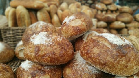 Maltempo Emilia-Romagna: Raccolto di grano tenero pari a 200 milioni di chili di pane distrutto dall’alluvione