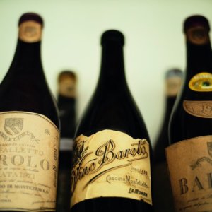 Vino: Barolo, la storia sconosciuta di uno dei più prestigiosi leader dell’enologia italiana