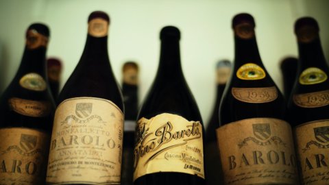 Vino: Barolo, la historia desconocida de uno de los líderes más prestigiosos de la enología italiana