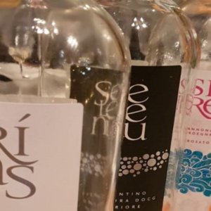 GREGU, O VINHO QUE NASCE DO VENTO E DOS CHEIROS DA CORTIÇA…