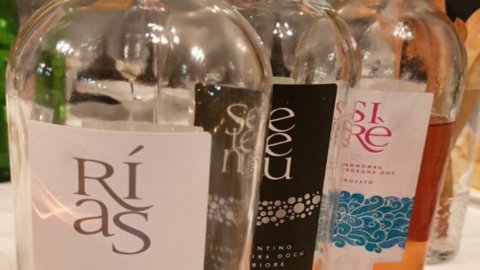 GREGU, O VINHO QUE NASCE DO VENTO E DOS CHEIROS DA CORTIÇA…