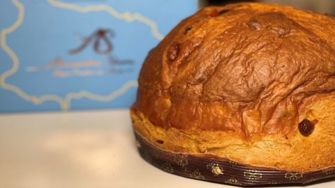 Re Panettone 2022: a un salernitano il premio per il miglior panettone artigianale dell’anno