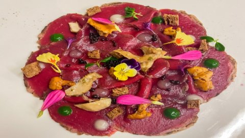 A receita de carpaccio de veado do chef Federico Kratter: o "novo sabor" das Dolomitas