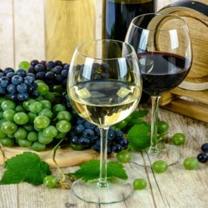 Vino in Italia: fatturato +10% nel 2022, ecco le cantine leader del settore vinicolo 