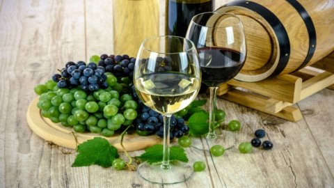 Il vino del Sannio garantito dal Poligrafico dello Stato. Etichettatura e tracciabilità ambientale a prova di contraffazioni