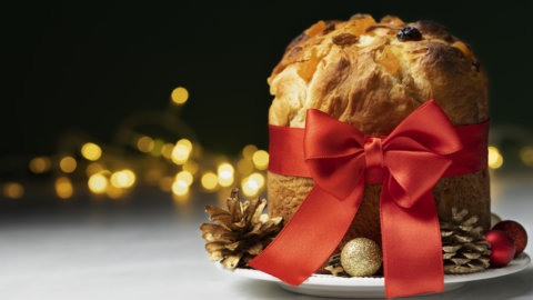 Artisan Panettone 2022 : des classiques aux plus extravagants. Voici les meilleurs à déguster à Noël